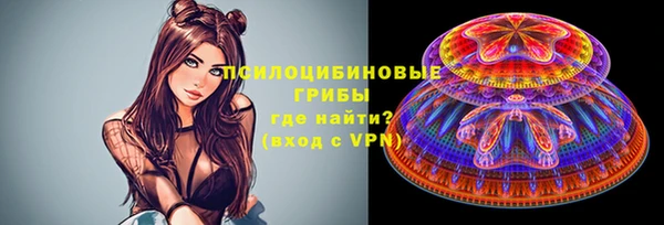 ПСИЛОЦИБИНОВЫЕ ГРИБЫ Корсаков