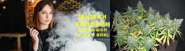 spice Костерёво